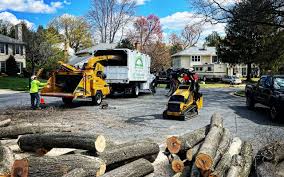  Wyldwood, TX Tree Removal and Landscaping Services Pros